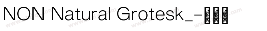 NON Natural Grotesk_字体转换